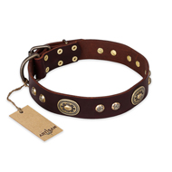 "Breath of Elegance" FDT Artisan Decorated with Plates Brown Leather Cane Corso Collar