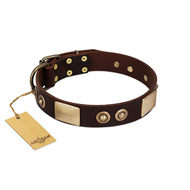 "Sense of Freedom" FDT Artisan Brown Leather Cane Corso Collar with Old Bronze-Plated Studs and Plates