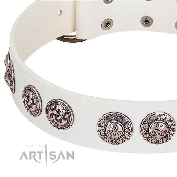 Perfect fit genuine leather dog collar for daily walking