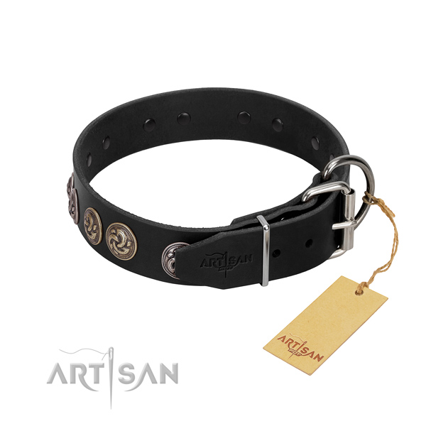 Rust resistant fittings on stunning full grain natural leather dog collar