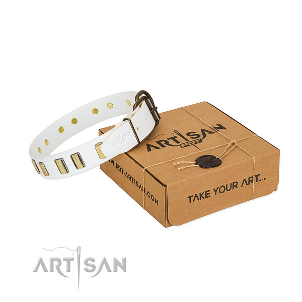 Full grain leather dog collar with reliable hardware for daily use
