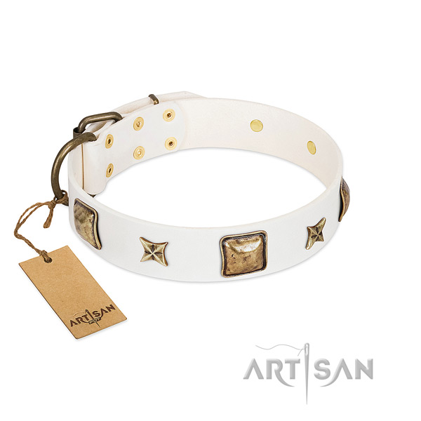 Unique full grain leather dog collar for handy use