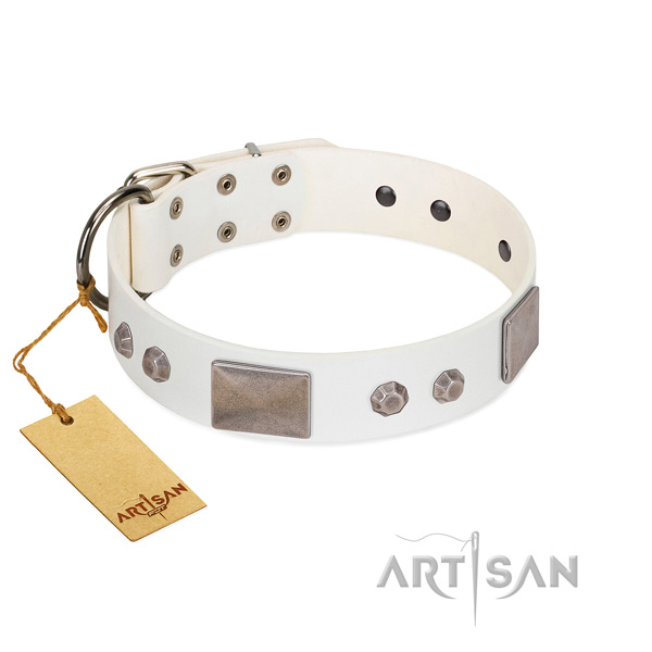Handmade genuine leather collar for your attractive canine