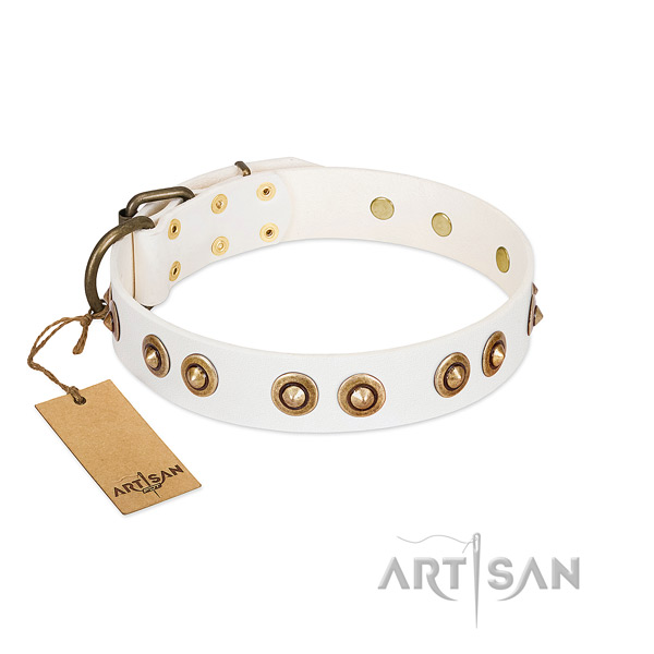Exceptional leather collar for your pet