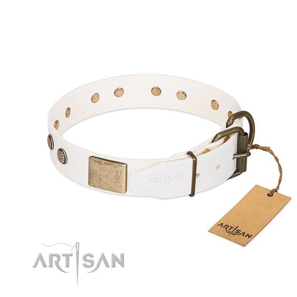 Strong hardware on stylish walking dog collar