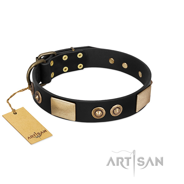 Adjustable leather dog collar for walking your canine