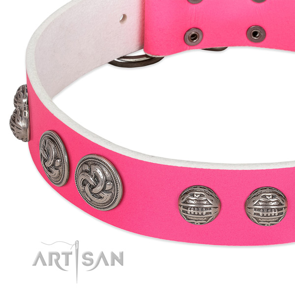 Durable buckle on genuine leather collar for daily walking your dog