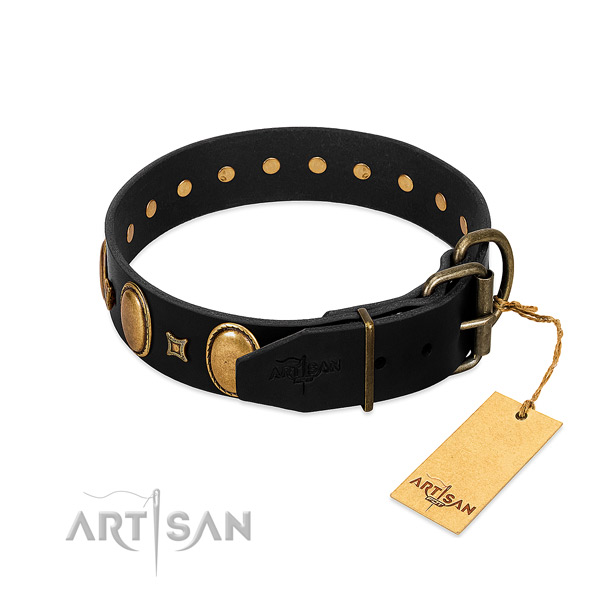 Corrosion proof buckle on daily use dog collar