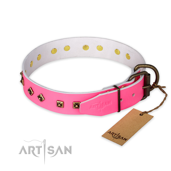 Reliable fittings on natural leather collar for stylish walking your pet