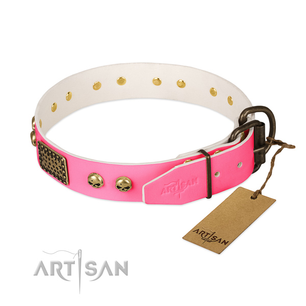 Rust-proof decorations on basic training dog collar