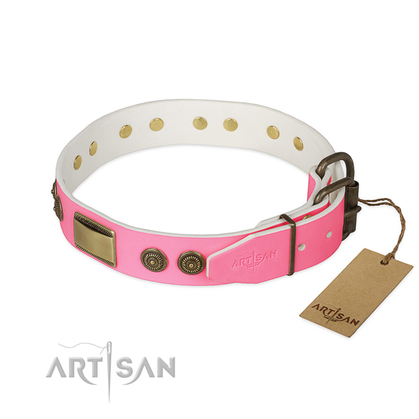 Rust resistant adornments on comfortable wearing dog collar