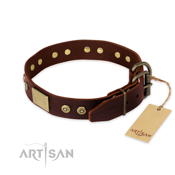 Rust resistant adornments on comfortable wearing dog collar