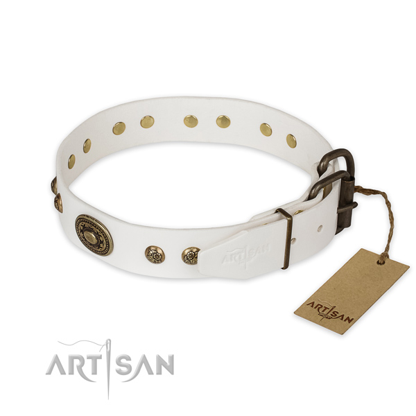 Corrosion resistant hardware on genuine leather collar for stylish walking your four-legged friend