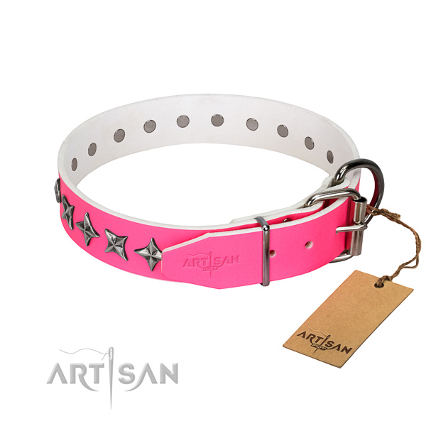 Reliable genuine leather dog collar with trendy embellishments