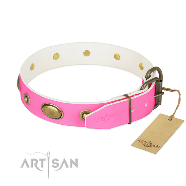 Strong embellishments on full grain leather dog collar for your dog