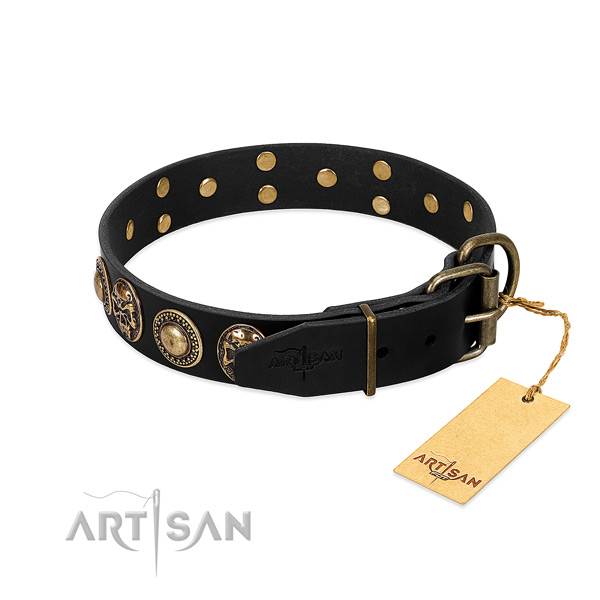 Corrosion proof adornments on everyday walking dog collar