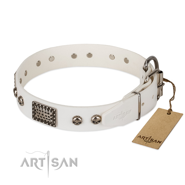 Corrosion resistant embellishments on handy use dog collar