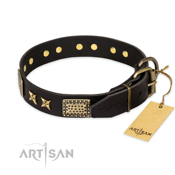 Durable D-ring on leather collar for your attractive four-legged friend