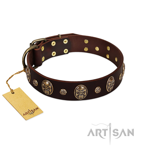 Top notch genuine leather collar for your doggie