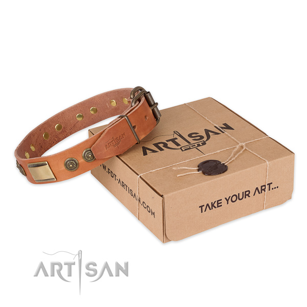 Corrosion proof hardware on leather dog collar for handy use