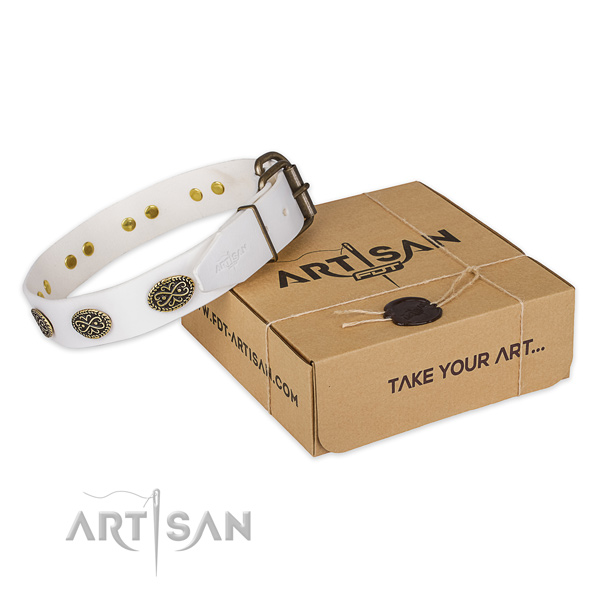 Reliable traditional buckle on leather dog collar for walking