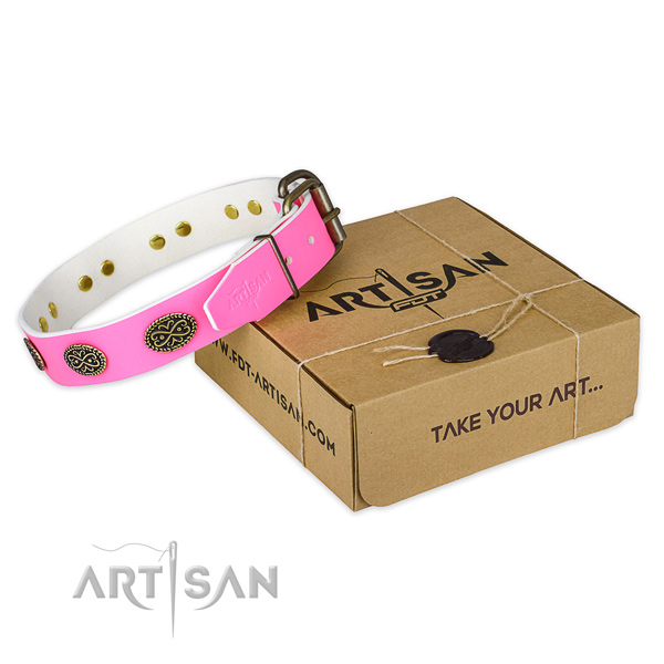 Studded full grain leather dog collar for daily use