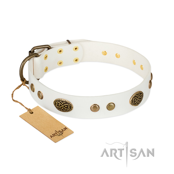 Durable traditional buckle on full grain natural leather dog collar for your four-legged friend