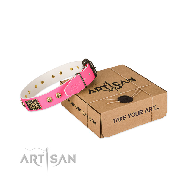 Rust resistant buckle on dog collar for stylish walking