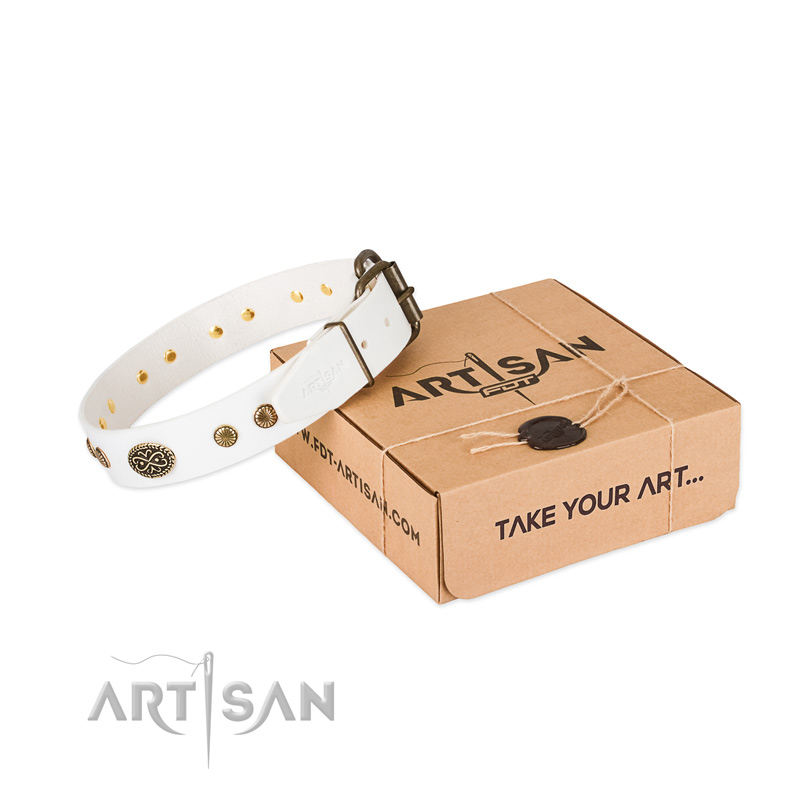 Corrosion proof buckle on leather dog collar for your four-legged friend