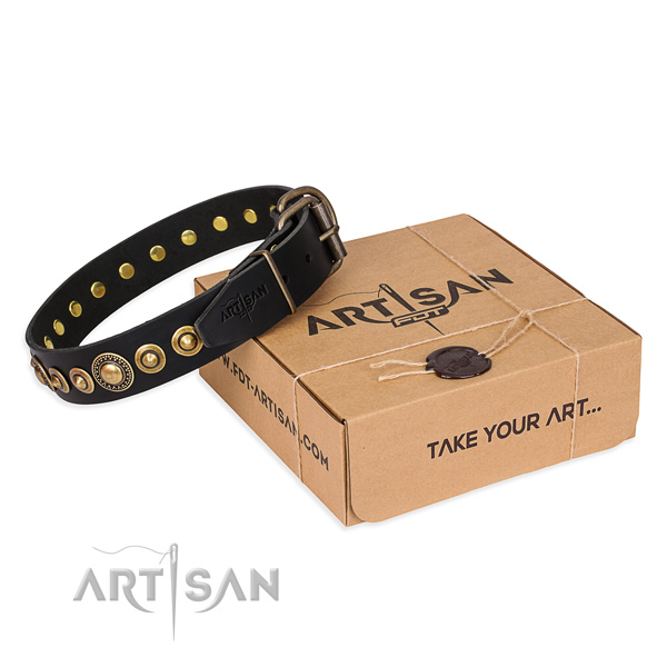 Soft full grain leather dog collar crafted for everyday use