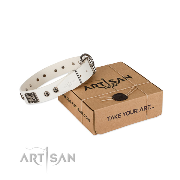 Corrosion proof studs on dog collar for daily use