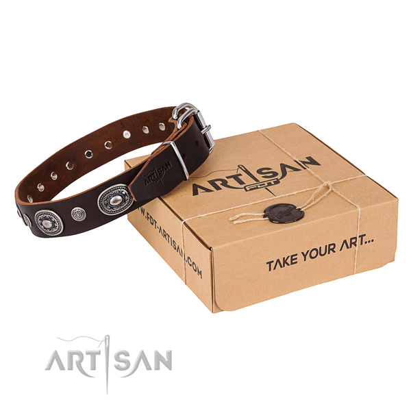 Quality full grain leather dog collar crafted for basic training