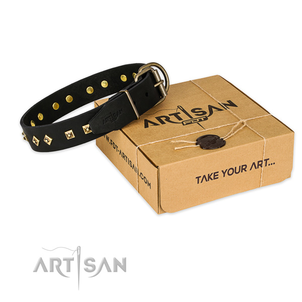 Reliable traditional buckle on leather dog collar for walking