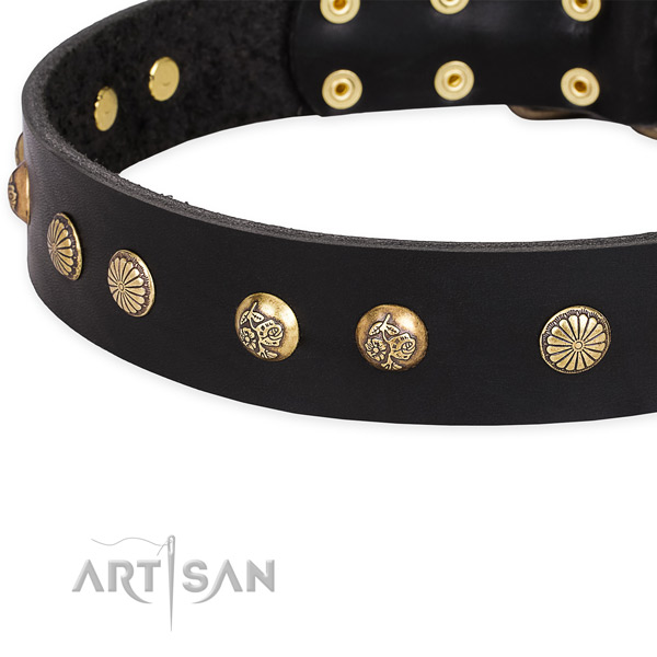 Full grain genuine leather collar with rust-proof buckle for your attractive canine