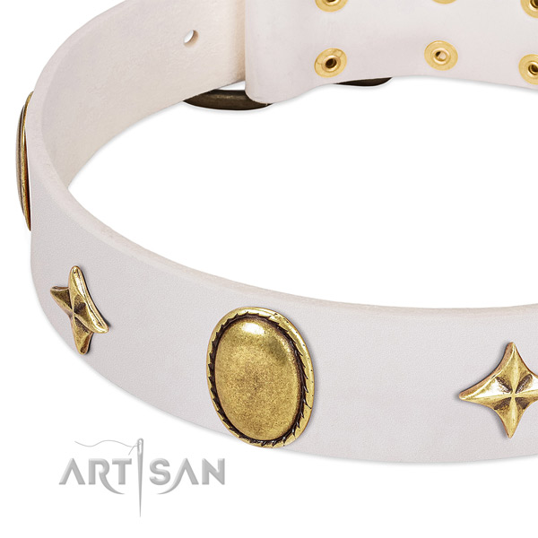 Top notch leather dog collar with corrosion resistant fittings