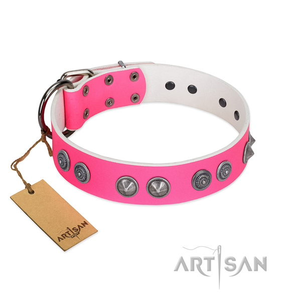 Adorned full grain natural leather dog collar with reliable hardware