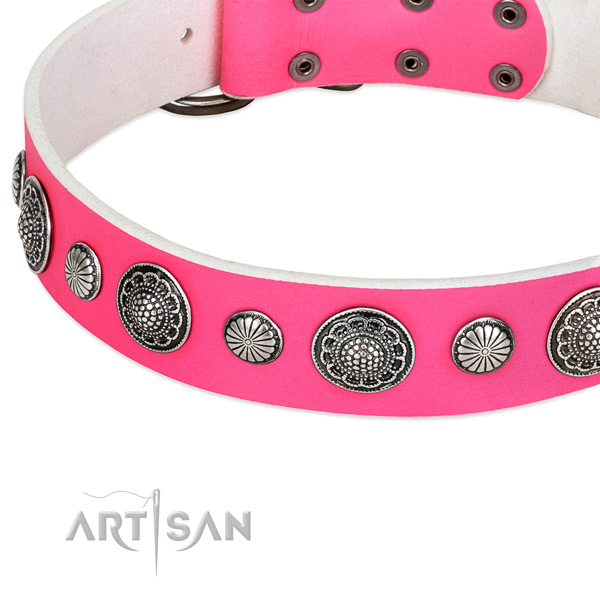 Natural leather collar with corrosion resistant hardware for your attractive canine