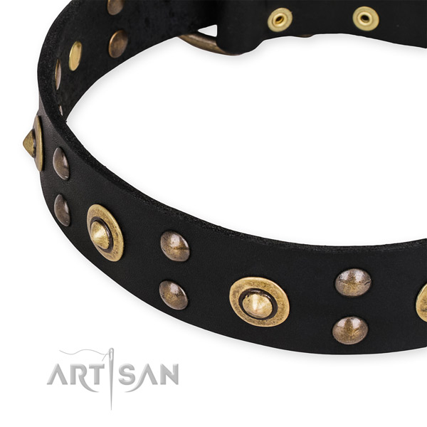 Full grain leather collar with strong buckle for your handsome canine