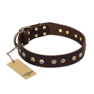 "Bronze Sheen" FDT Artisan Leather Cane Corso Collar with Brass-Plated Studs