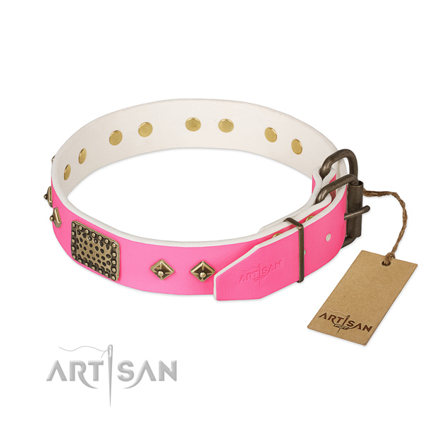 Rust resistant buckle on comfortable wearing dog collar