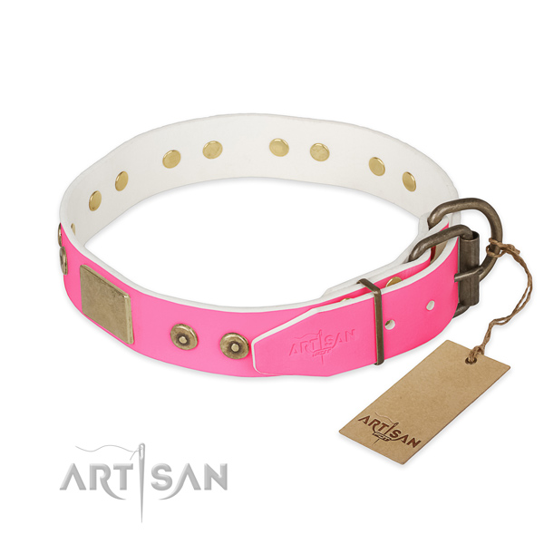 Corrosion proof hardware on basic training dog collar