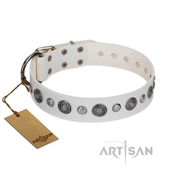 Top notch leather dog collar with corrosion proof hardware