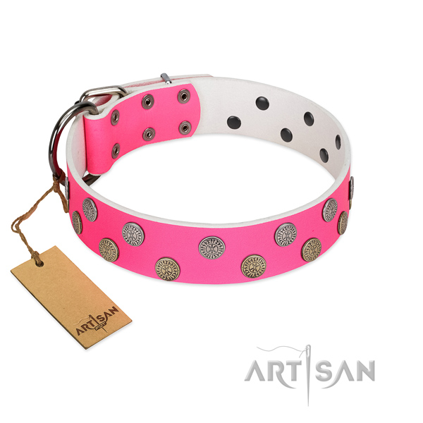 Fashionable decorations on leather collar for walking your dog