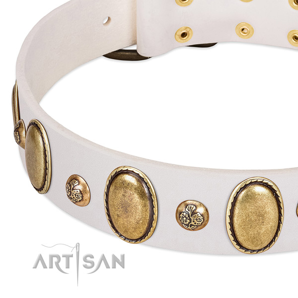 Full grain natural leather dog collar with fashionable studs