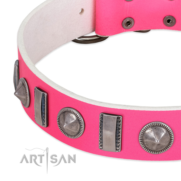 Unusual studded full grain natural leather dog collar for comfortable wearing