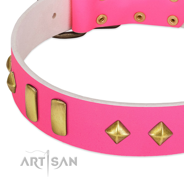 Soft full grain genuine leather dog collar with remarkable adornments