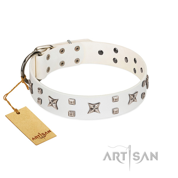 Awesome decorated genuine leather dog collar of high quality material