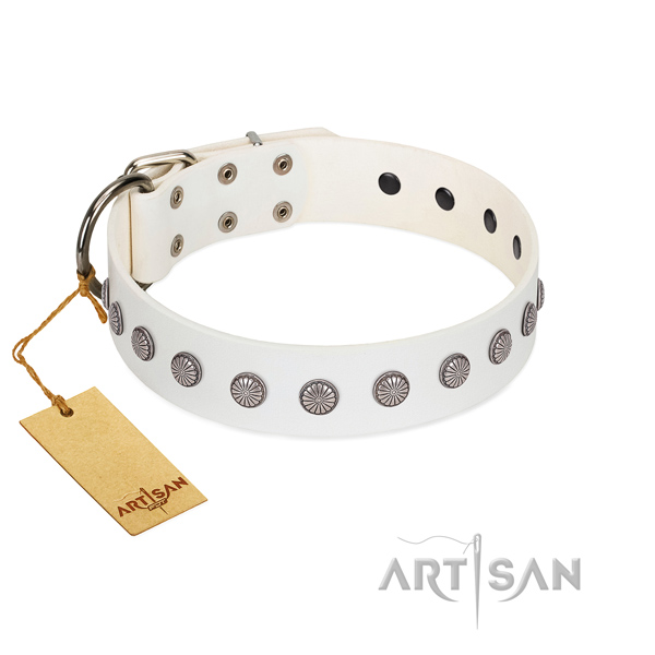 Impressive natural leather collar for your dog