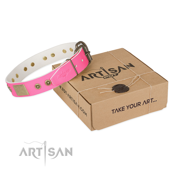 Reliable traditional buckle on dog collar for daily walking