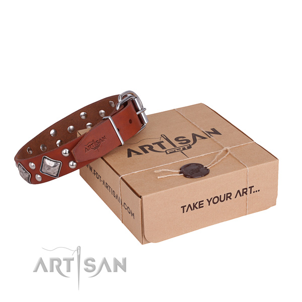 Comfy wearing dog collar with Fashionable rust-proof embellishments